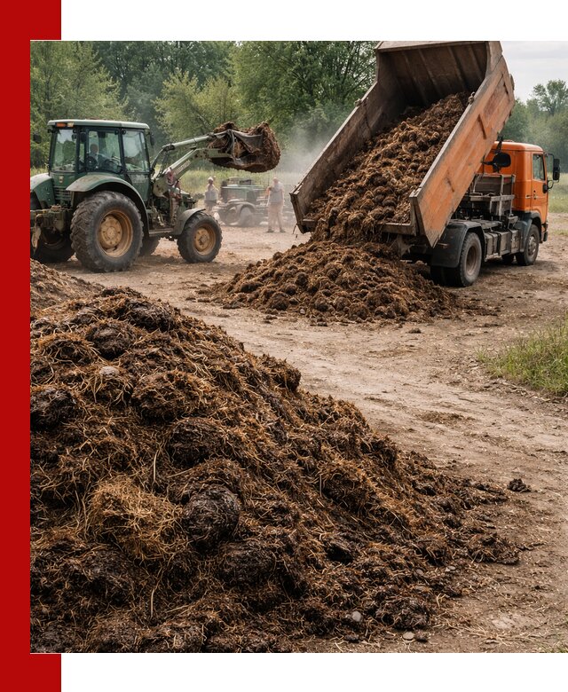 Доставка навоза самосвалами в Волгограде для сельхозпотребностей